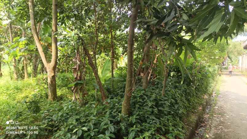 tanah kavling murah shm di cimuning bekasi