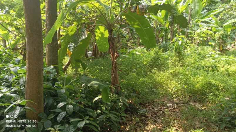 tanah kavling murah shm di cimuning bekasi