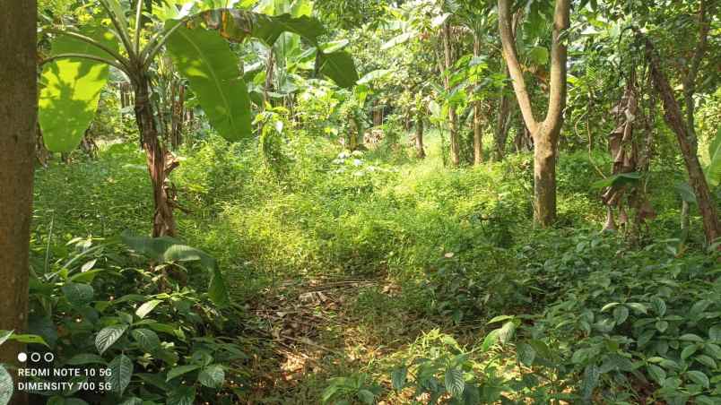 tanah kavling murah shm di cimuning bekasi