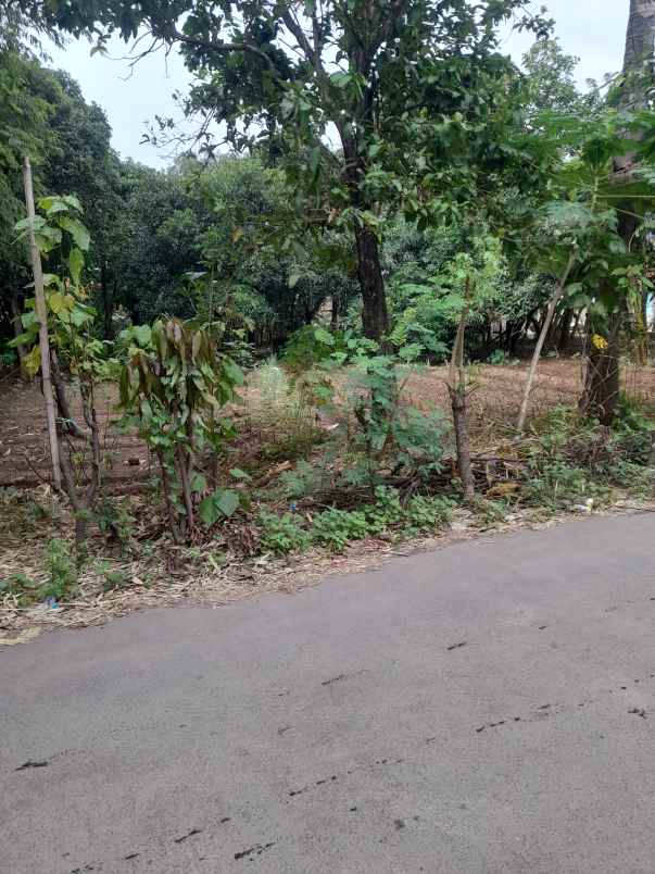 tanah kebun strategis pinggir jln desa