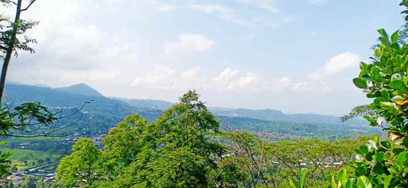 tanah kemuning ngargoyoso