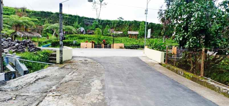 tanah kemuning ngargoyoso