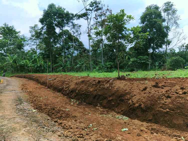 tanah kemuning ngargoyoso