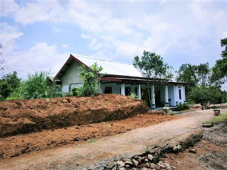 tanah kemuning ngargoyoso