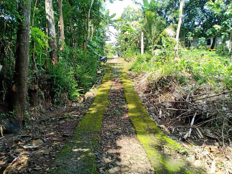 tanah kerjo karanganyar
