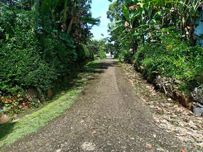 tanah kerjo karanganyar