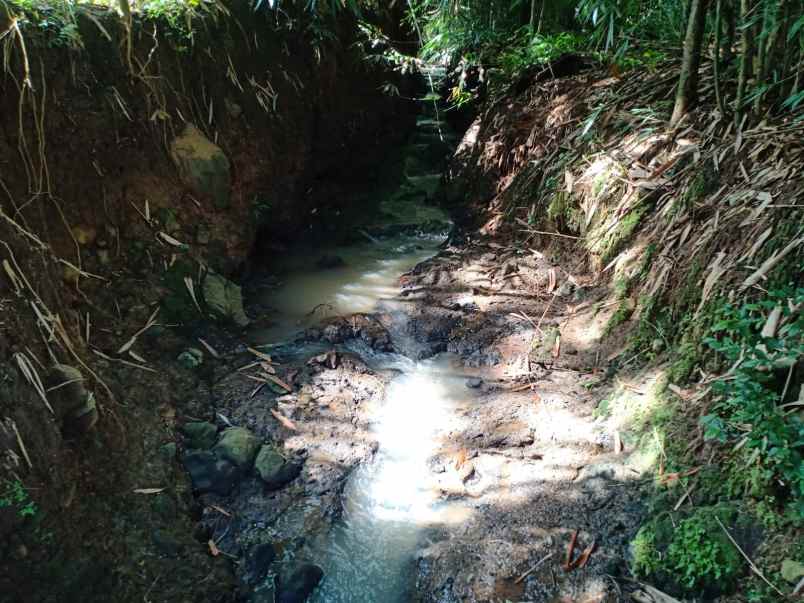 tanah kerjo karanganyar