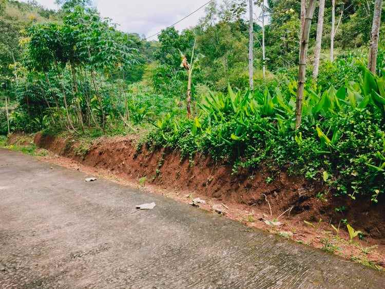 tanah kota karangpandan