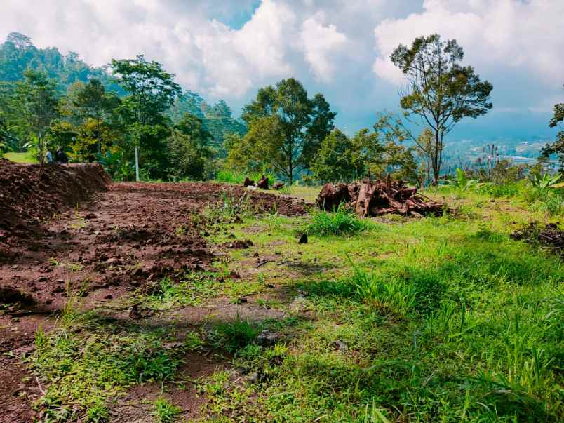 tanah kota wisata kemuning