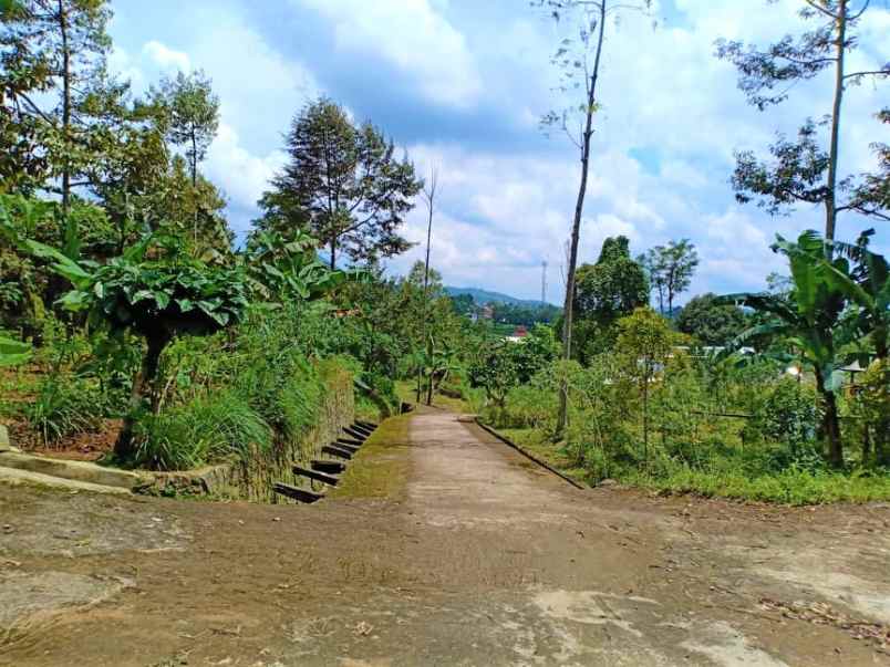 tanah kota wisata kemuning