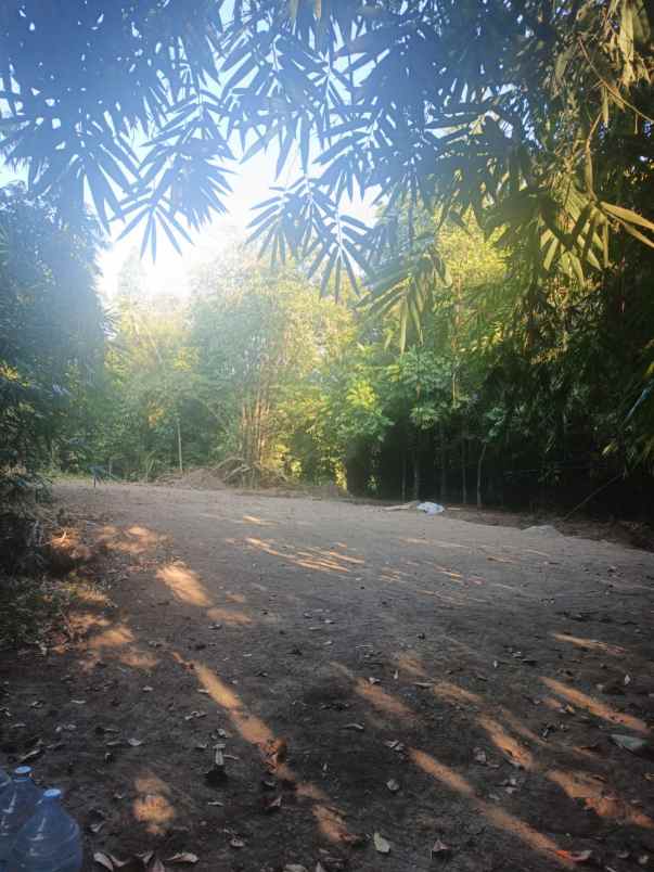 tanah luas 1 505 m di bantul harga rp510 juta