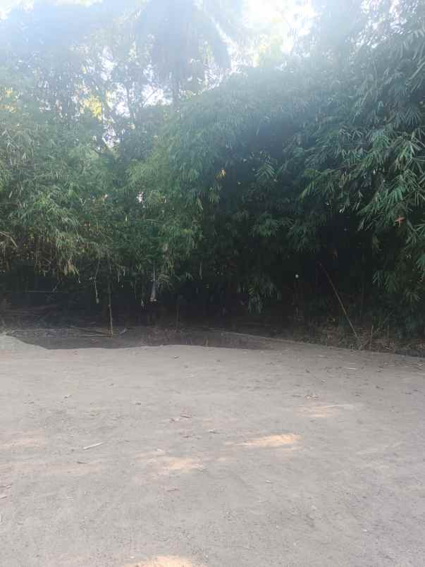 tanah luas 1 505 m di bantul harga rp510 juta