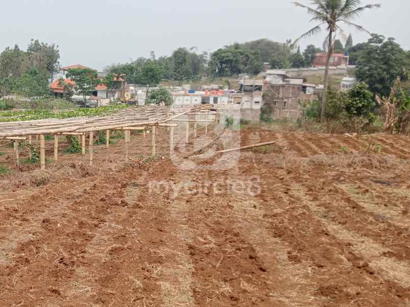 tanah luas cocok untuk investasi di cilame