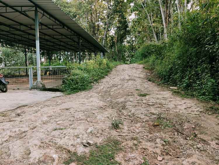 tanah mojogedang karanganyar