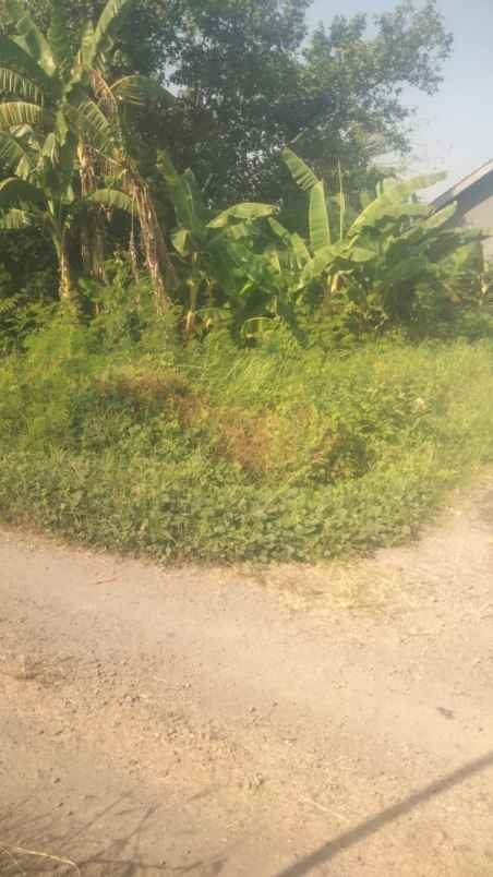 tanah pojok di daerah sidoarjo