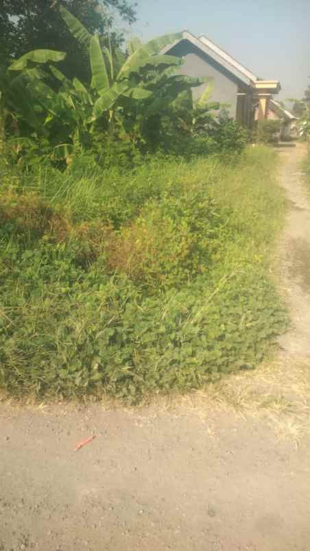 tanah pojok di daerah sidoarjo