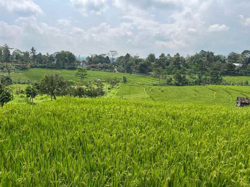 tanah produktif 450 juta karangpandan