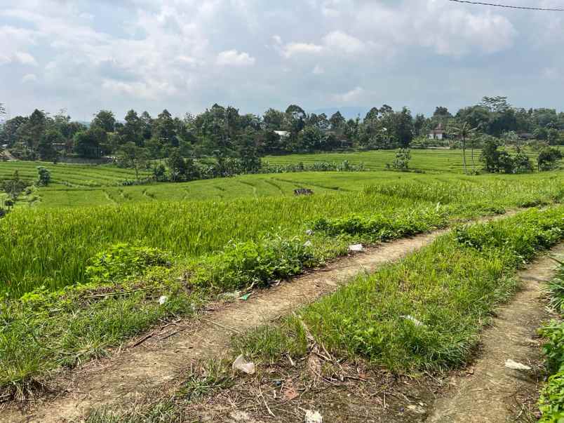tanah produktif 450 juta karangpandan