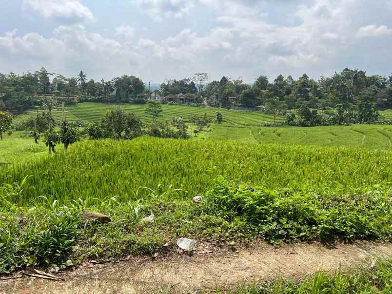 tanah produktif 450 juta karangpandan
