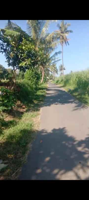 tanah strategis dijual pinggir jalan aspal