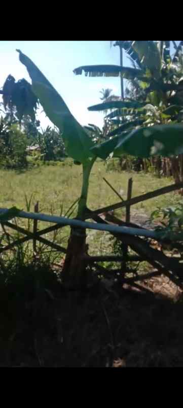 tanah strategis dijual pinggir jalan aspal