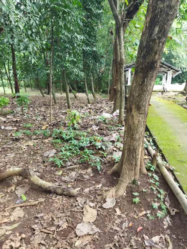 tanah talun cirebon jabar