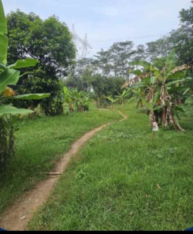 tanah tegal banting harga lingkup perkotaan
