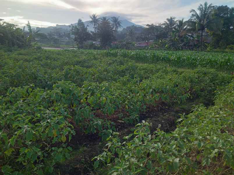 tanah tempat strategis murah