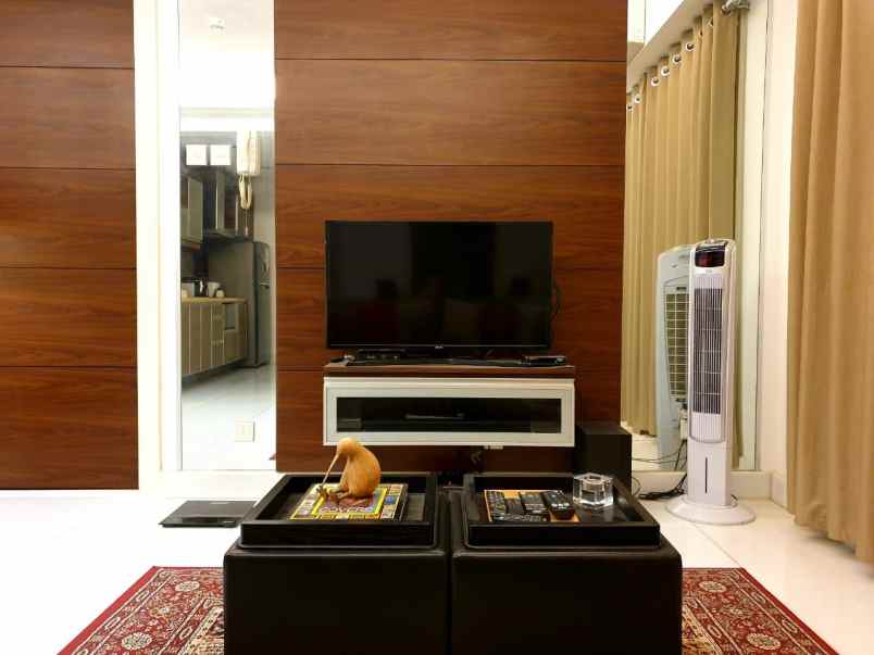apartemen hidden gem di cosmopolis