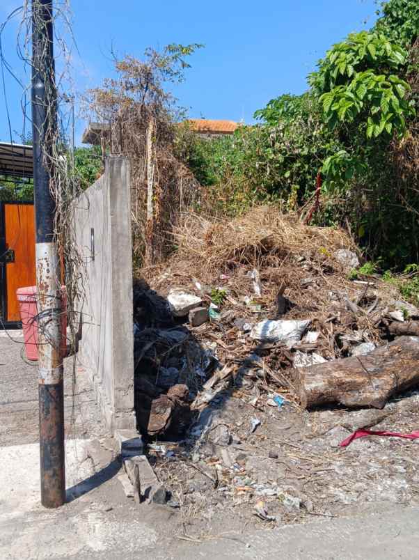 dijual 2 6 ha jl raya sading darmasaba mengwi badung