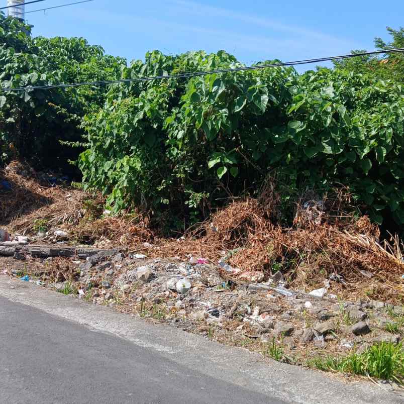 dijual 2 6 ha jl raya sading darmasaba mengwi badung