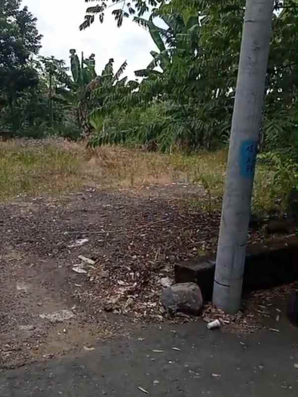 dijual 4 are jl panti raya gerih abiansemal badung