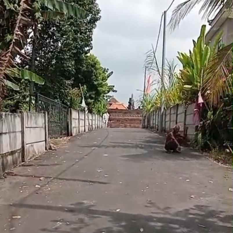 dijual 4 are jl panti raya gerih abiansemal badung