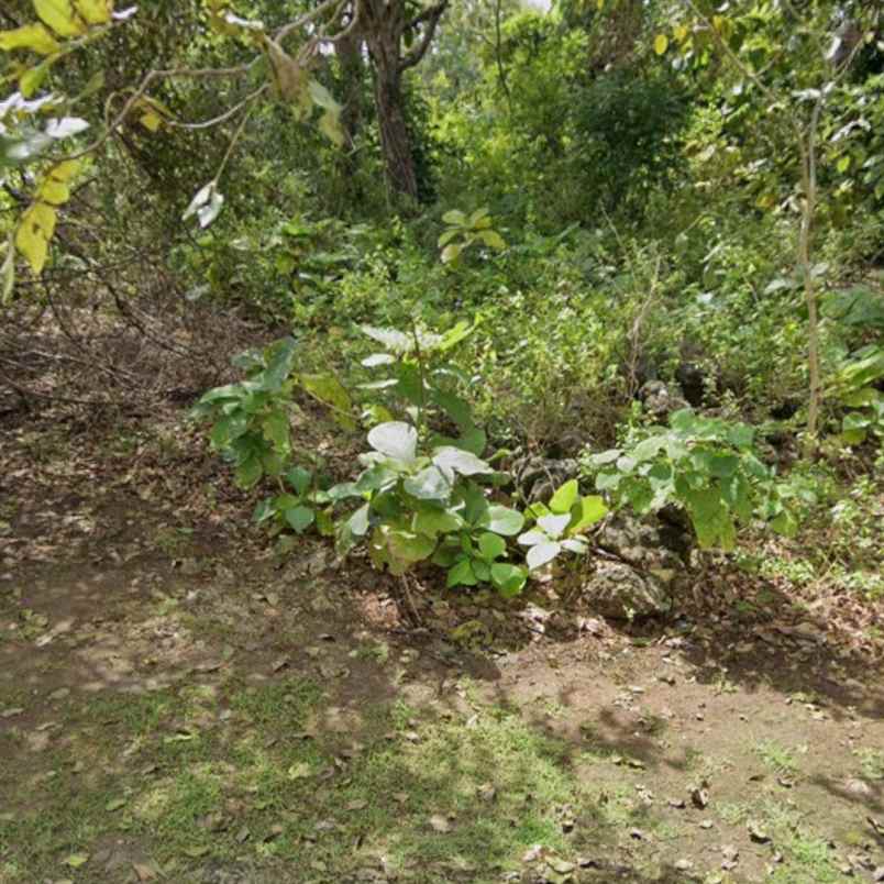dijual 60 are jl pantai balangan jimbaran kuta selatan