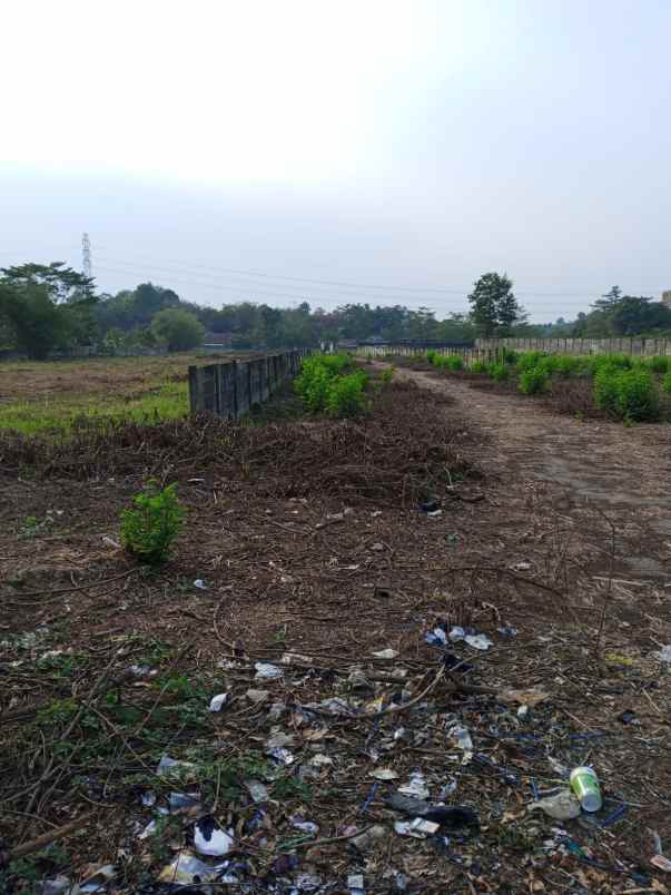 dijual cepat tanah komersil di jalan utama tigaraksa