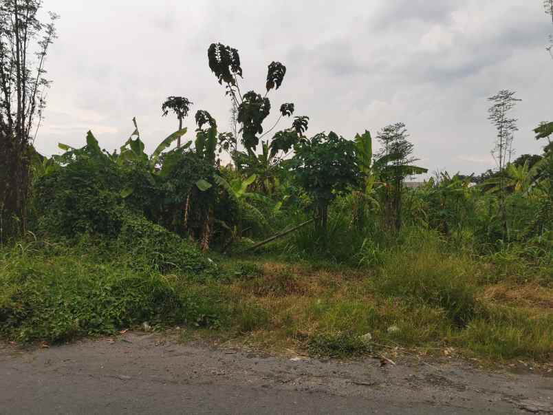dijual cepat tanah ngasem colomadu karanganyar