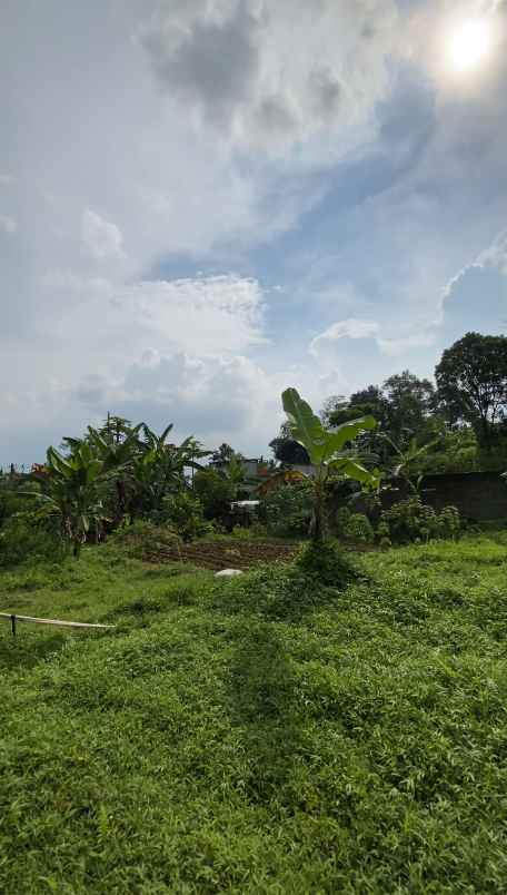 dijual lahan tanah kosong di mega mendung