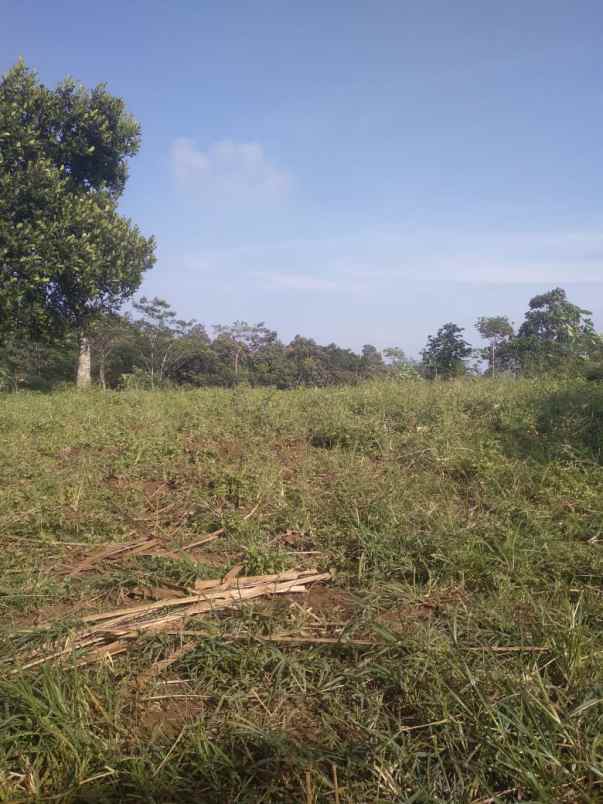 dijual murah lahan cijapati cikancung kab bandung