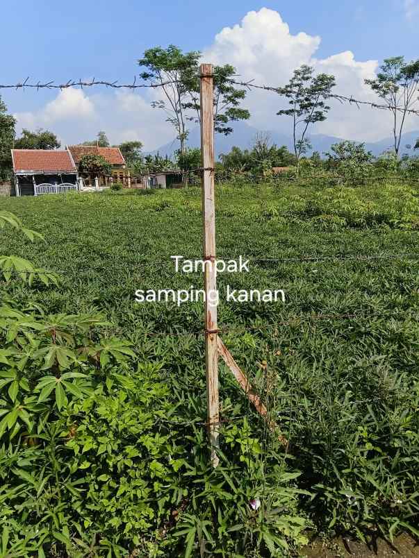 dijual murah tanah shm tanjungsari kab sumedang
