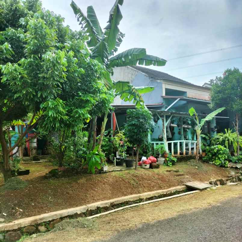 dijual rumah bagus murah