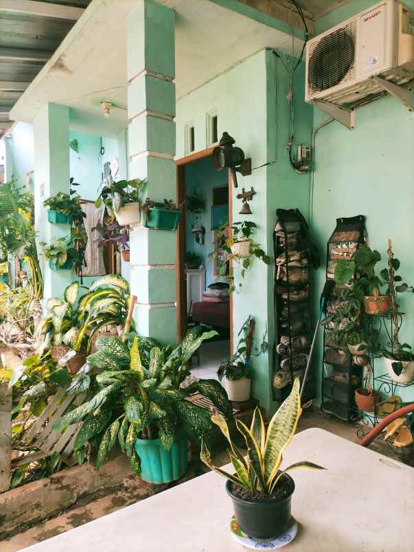 dijual rumah bagus murah