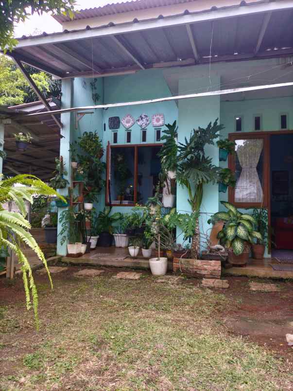 dijual rumah bagus murah