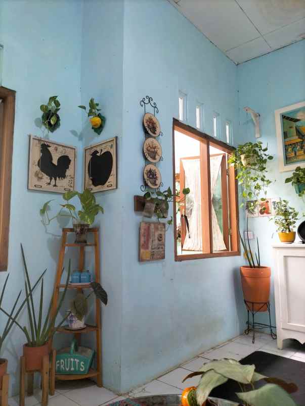 dijual rumah bagus murah