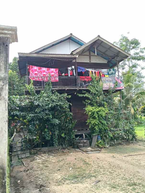 dijual rumah dijual rumah di tani