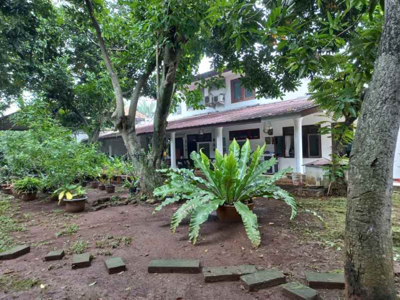 dijual rumah mewah luas
