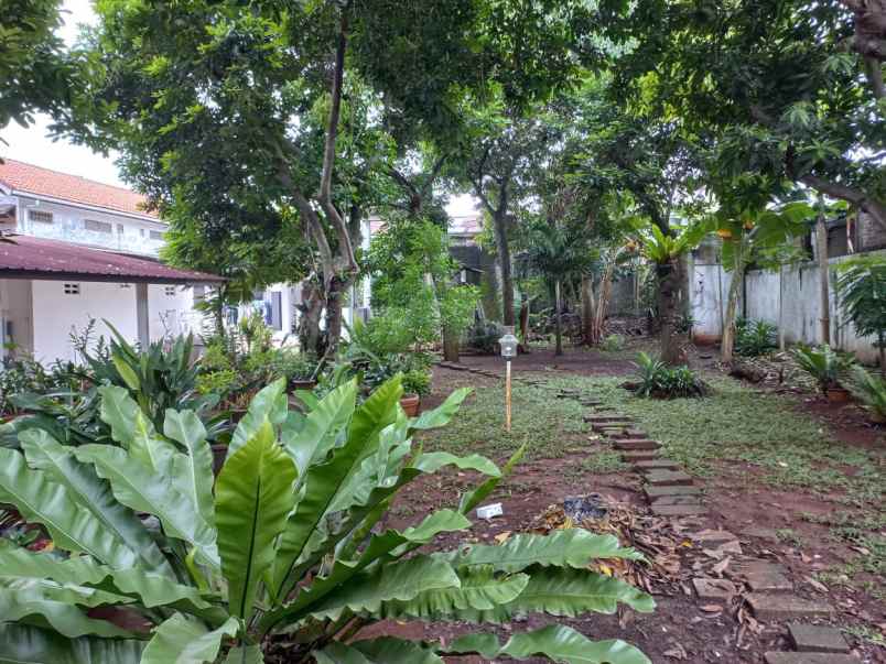 dijual rumah mewah luas