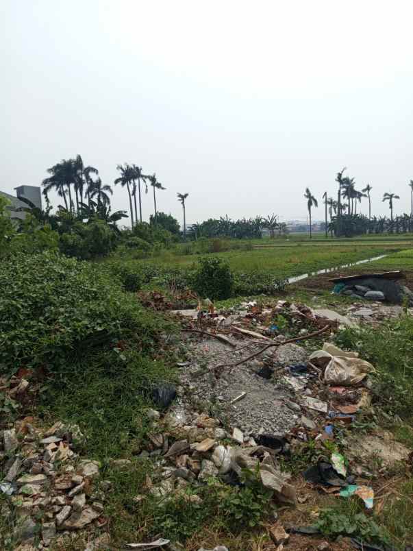 dijual tanah alas tua 12000 m2 poris indah