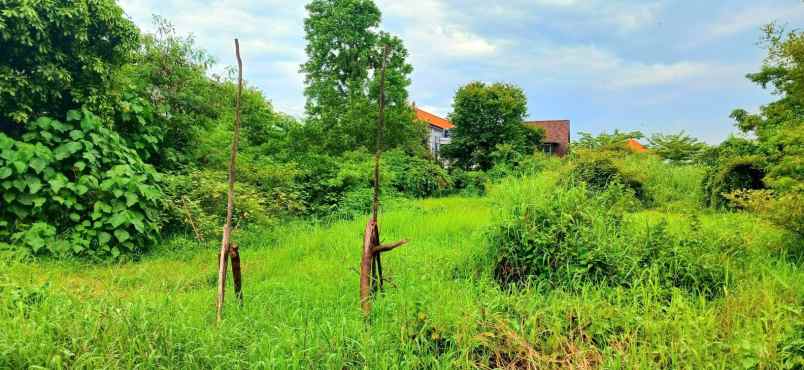 dijual tanah area gatsu barat denpasar bali