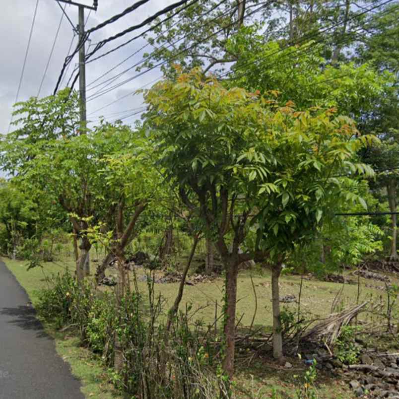 dijual tanah balangan