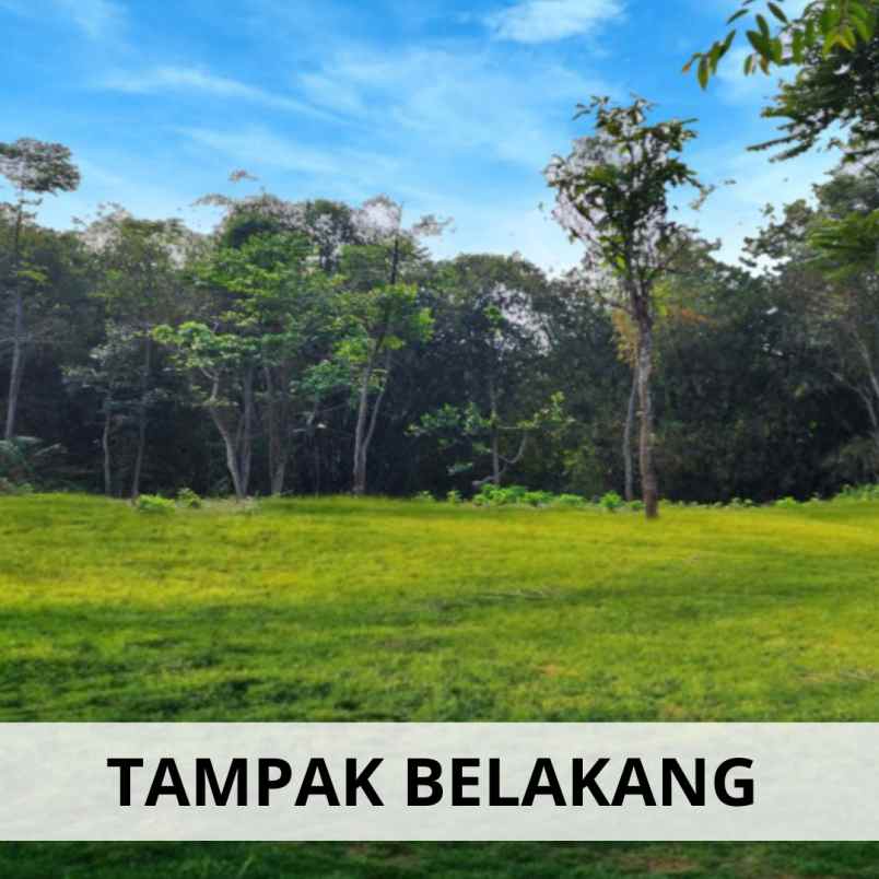 dijual tanah bandung padalarang